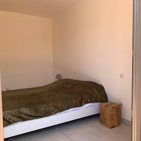 Maison Neuve Avec Piscine Et Terrasse Exterieur Villa *